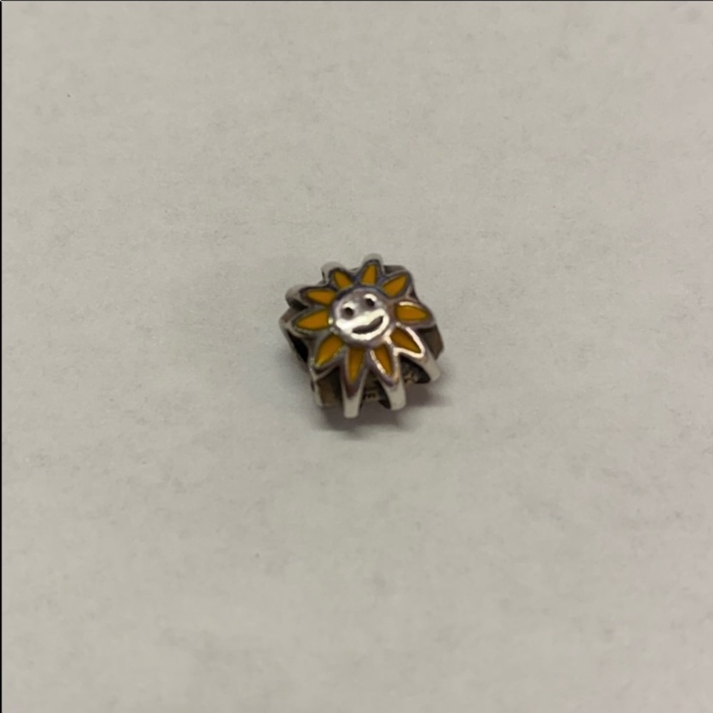 Pandora charm